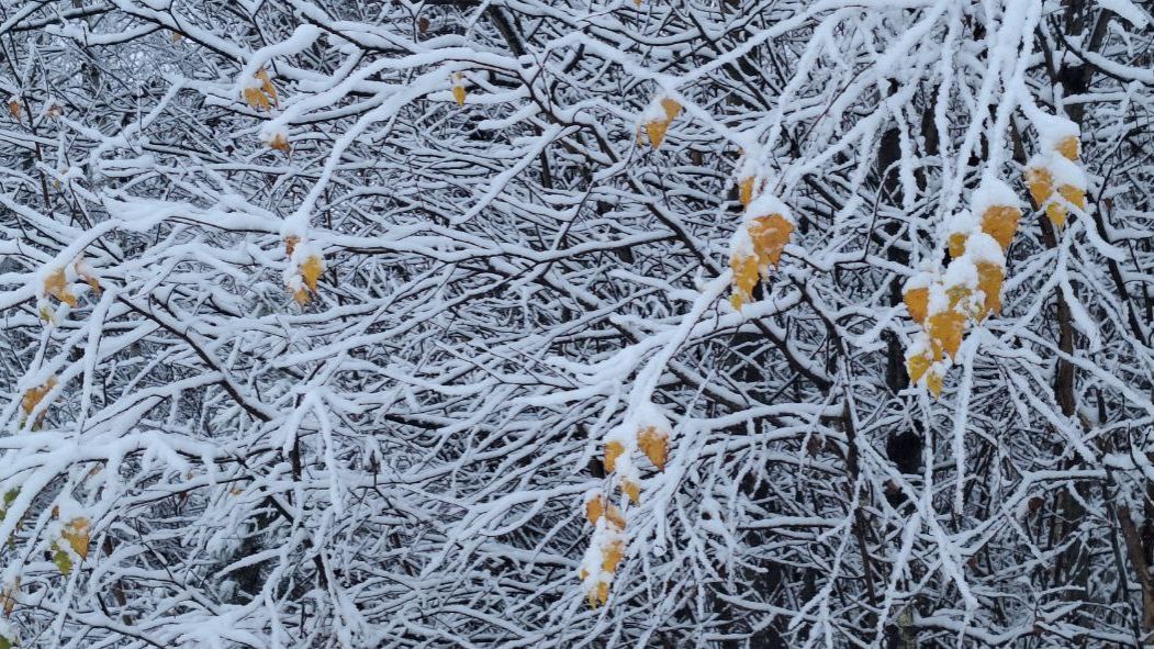 Первый снег — это как новая страница. смотреть онлайн