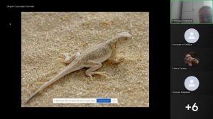 3.1. Интеграция прикладных аспектов Попов