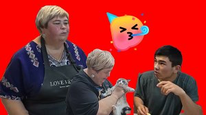 15-11-2025"Уралочка печёт 🍰, Сафарка страдает 😢: Обзор на кухонный треш 🍽️"