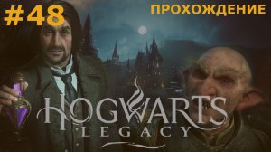 ИГРАЕМ В HOGWARTS: LEGACY| #48 ОБИТЕЛЬ ИСИДОРЫ