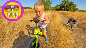 Неделю болеем всей семьей! Цесарки терроризируют село! Осень пришла, в Крыму холодает!