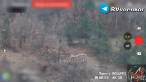 🇷🇺💥🇺🇦⚡️Наступление на Новопавловку: пехота ВСУ пытается спастись от армии России