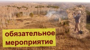 Жгем сучки с помощь трактора. Заготовка дров в деревне.