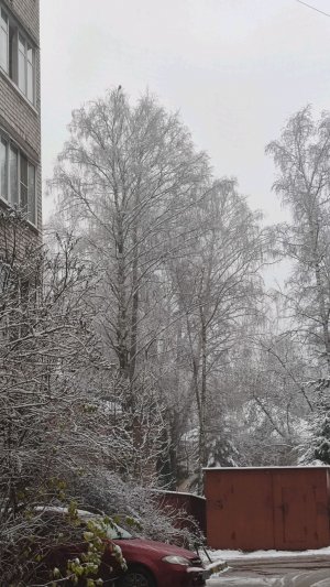 я собираю вещи для переезда