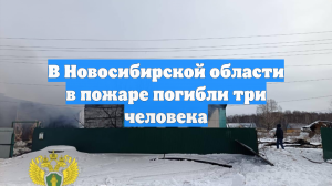 В Новосибирской области в пожаре погибли три человека