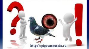 вопрос-ответ