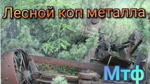 КОП МЕТАЛЛА 33,МЕТАЛЛОКОП В ЛЕСНЫХ ОВРАГАХ,ПОЛЯХ И МТФ