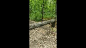 Путешествие сталкера. Тайна заброшенной турбазы.