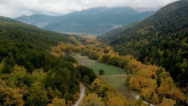 Что важно сделать 16 ноября, чтобы избежать беды.