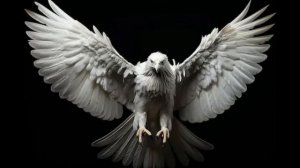 Эманации белого орла... - «Милицейское братство»#Россия #страна #закон #похороны #будущее