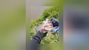 Сезон 2025 по открытой воде закрыт! Хорошо провел время в этом сезоне👍 Рыбалка удалась😊🎣
