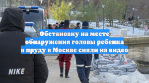 Обстановку на месте обнаружения головы ребенка в пруду в Москве сняли на видео