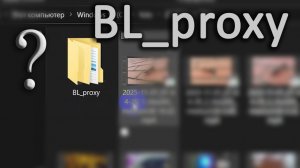 BL_proxy что за папки появились #blender