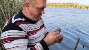 немного о рыбалке