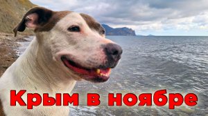 Ноябрь, который вы не знали. Крым без толп и палящего солнца