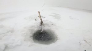 Рыбалка у чёрной дыры. Жесть на Енисее. Отличный улов налима. Пятая серия.