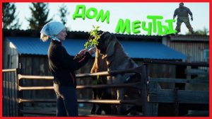 ЗАИМКА НА УРАЛЕ - ДОМ МЕЧТЫ