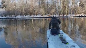 На стационарных снастях лучше работает паста. Клёвое место, Лосиный остров, верхний водоём.