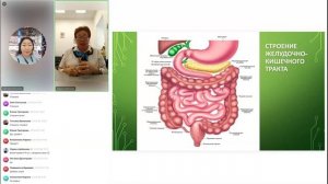 Тонкости работы кишечника  (03.10.25)