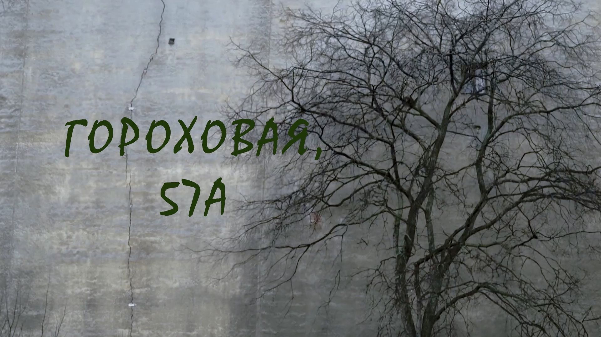 Гороховая 57а. Режиссёр Анастасия Осинцева