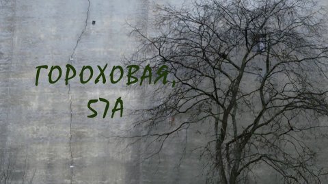 Гороховая 57а. Режиссёр Анастасия Осинцева