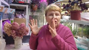 9 лет я с вами. И НЕ дождетесь что вещать не буду