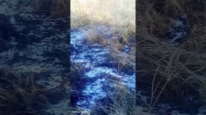 Мы гуляем в портпоселке на площадке