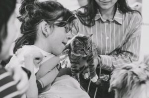 у меня есть лабубу