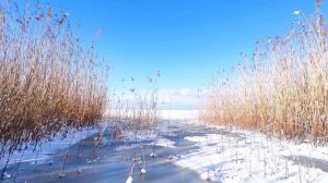 Калининградский залив