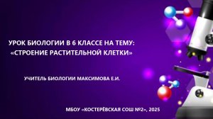 Урок биологии в 6 классе на тему "Строение растительной клетки"