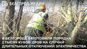 В Белгороде заготовили порядка 2 тысяч кубов дров на случай длительных отключений электричества