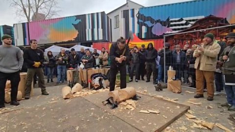 02.11.25 ЗАРУБА от УРМ АНИКА # 5 (ПОРУБАС 48) 26