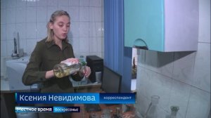 Скрытая, точная, невидимая работа криминалистов. Как маленькие детали могут помочь в раскрытии больш