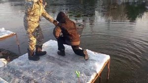 Светлые Горы Форель2 16.11.2025г.