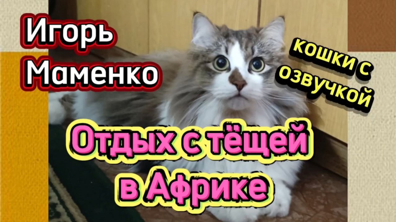 КОШКИ С ОЗВУЧКОЙ.