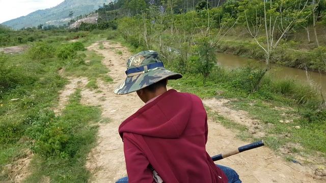 Розовый слон смотреть онлайн