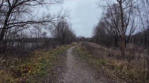 Прогулка Юбилейный пруд Электросталь