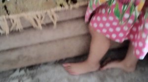 Распаковка фуглера и лакуку