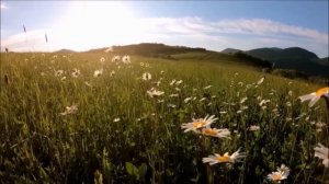 Эту музыку можно слушать вечно! Сергей Чекалин! @BestMusicRelaxon