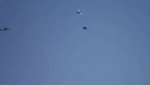 Полёт голубей