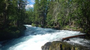 Жом-Балок 2025