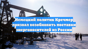 Немецкий политик Кречмер призвал возобновить поставки энергоносителей из России