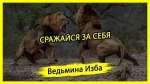 СРАЖАЙСЯ ЗА СЕБЯ. ВЕДЬМИНА ИЗБА ▶️ ИНГА ХОСРОЕВА