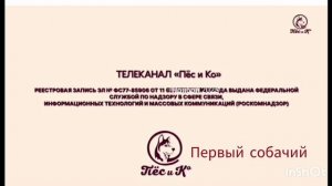 смена на обычный лицо пёс и ко 16.11.2025 10:20