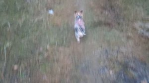 Начало зимы в центральной полосе