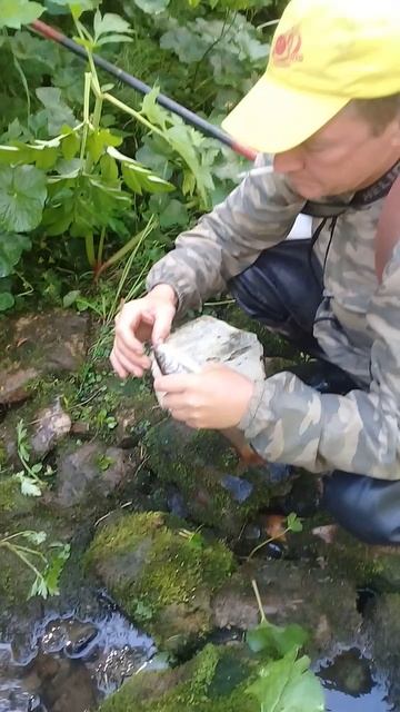 У Василия ловчии мухи.