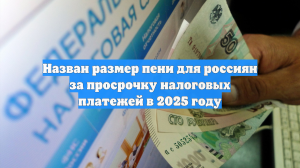 Назван размер пени для россиян за просрочку налоговых платежей в 2025 году