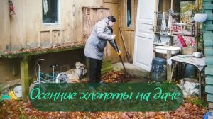 Дачный день осенью | листья, дрова и немного уюта