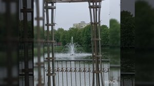 Летний дождь