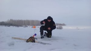 ЖЕРЛИЦЫ СХОДЯТ СУМА.ЩУКА ХВАТАЕТ КАК В ПОСЛЕДНИЙ РАЗ.